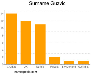 Surname Guzvic