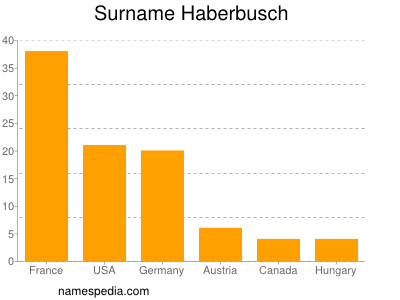 Surname Haberbusch