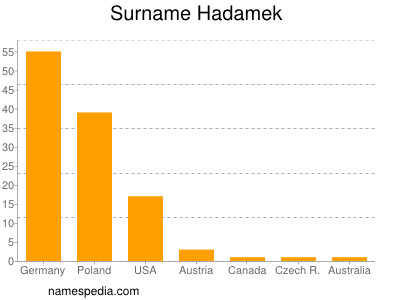 Surname Hadamek