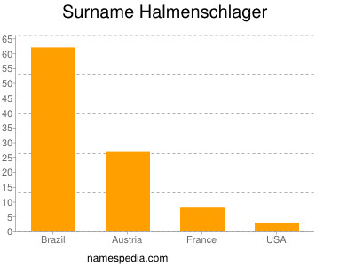 Surname Halmenschlager