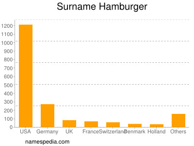 Surname Hamburger