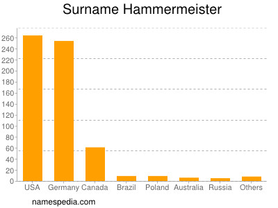 Surname Hammermeister