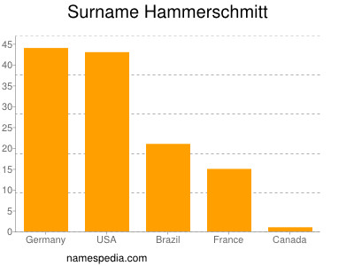 Surname Hammerschmitt