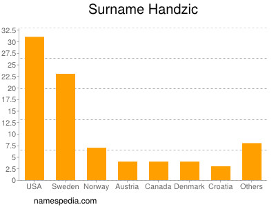 Surname Handzic