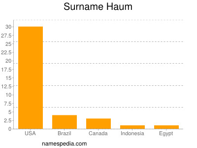 Surname Haum