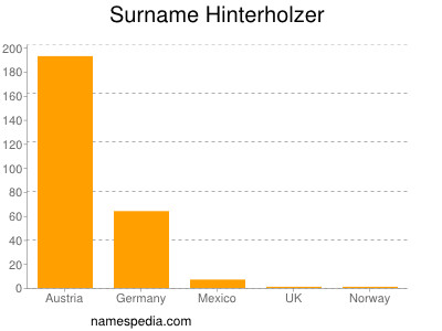 Surname Hinterholzer