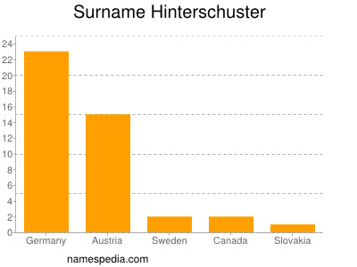 Surname Hinterschuster