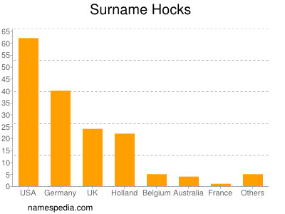 Surname Hocks