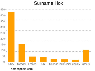 Surname Hok