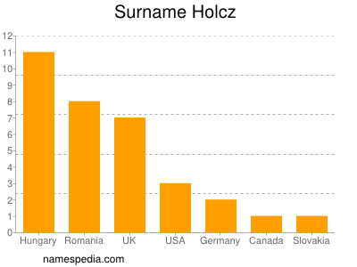 Surname Holcz
