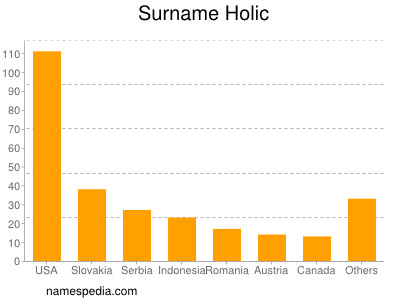 Surname Holic