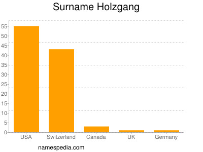 Surname Holzgang