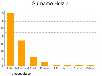 Surname Holzle