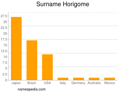 Surname Horigome
