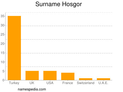 Surname Hosgor