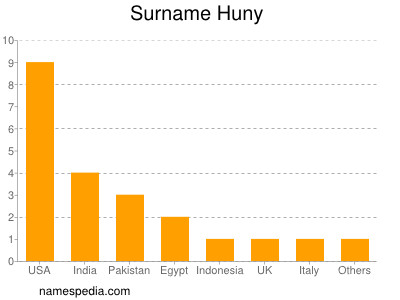 Surname Huny