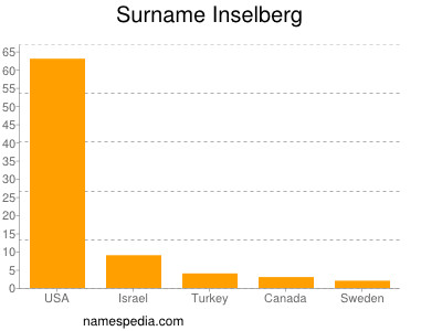 Surname Inselberg