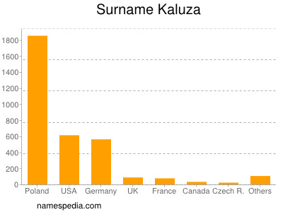 Surname Kaluza