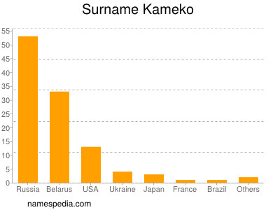 Surname Kameko