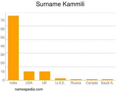 Surname Kammili