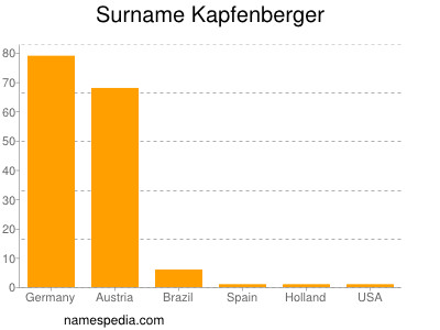 Surname Kapfenberger