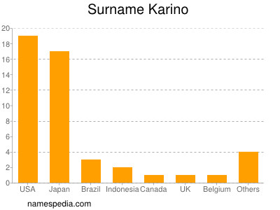 Surname Karino