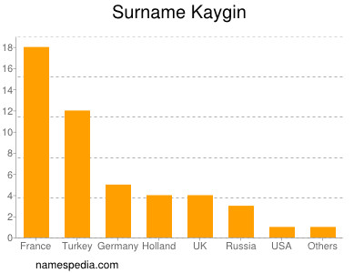 Surname Kaygin