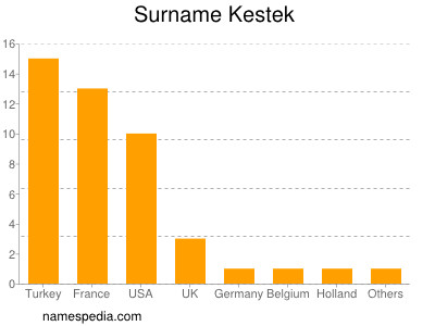 Surname Kestek