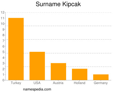 Surname Kipcak