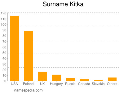 Surname Kitka