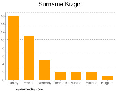 Surname Kizgin
