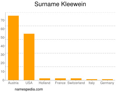 Surname Kleewein