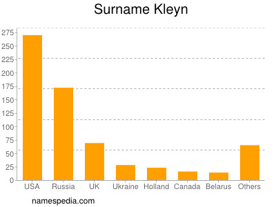 Surname Kleyn