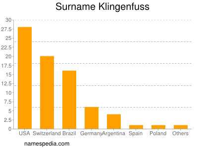 Surname Klingenfuss