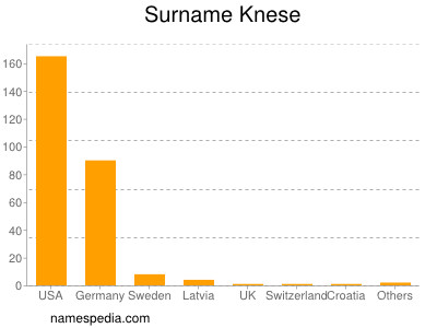 Surname Knese
