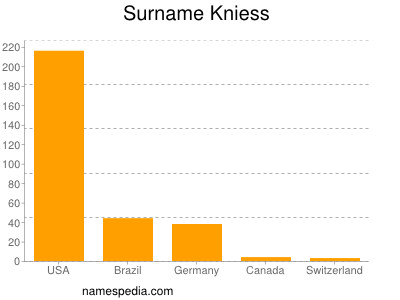 Surname Kniess