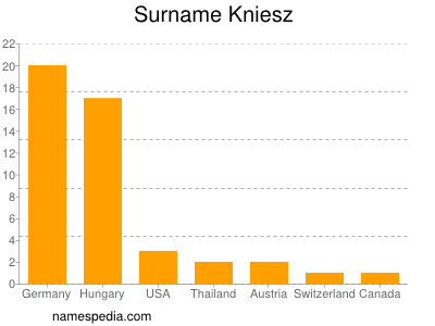 Surname Kniesz
