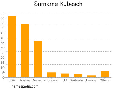 Surname Kubesch