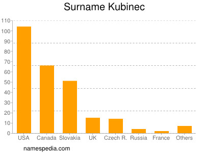 Surname Kubinec