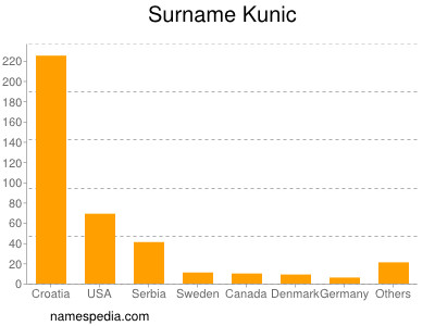 Surname Kunic