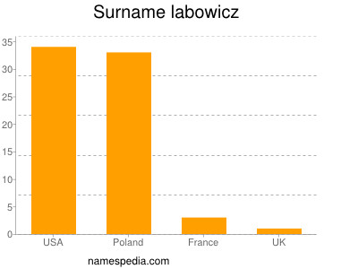 Surname Labowicz