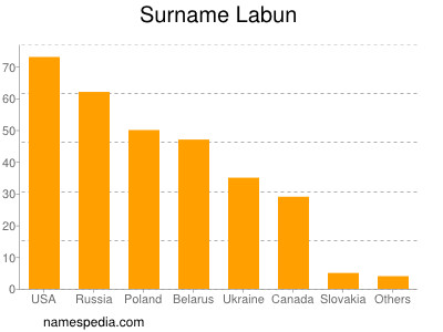 Surname Labun