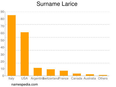 Surname Larice