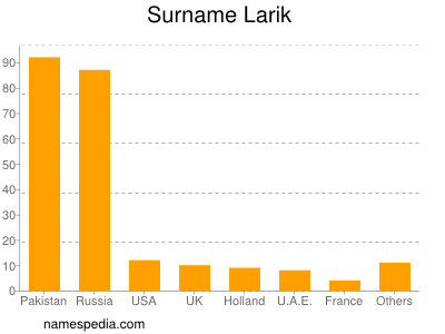 Surname Larik
