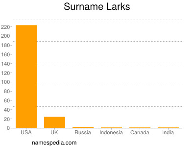 Surname Larks