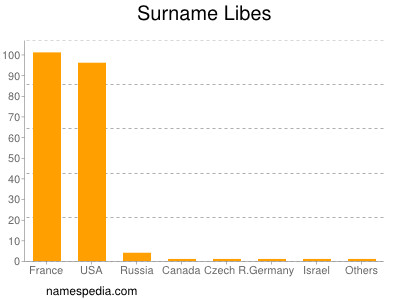 Surname Libes
