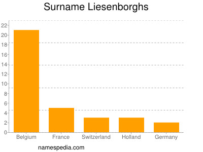 Surname Liesenborghs