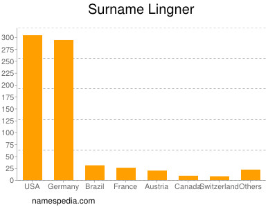 Surname Lingner