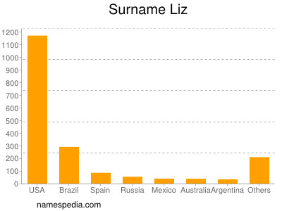 Surname Liz