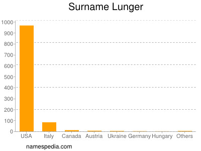 Surname Lunger